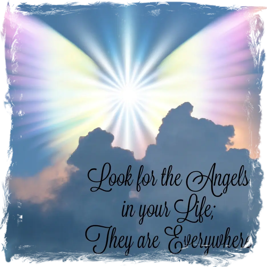 Angel Therapy classes in Mumbai and Vadodra