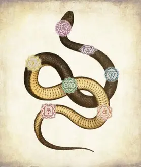 seven Chakras